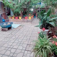 خانه گلنکی|فروش خانه و ویلا|تهران, سنگلج (شاپور)|دیوار