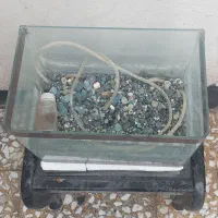 آکواریوم مینی . سالم و در حد نو