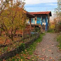 ر ا هنم ا یی