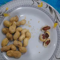 کاملن تازه وتمیز وخوشمزه|حراج|اهواز, کوی علوی|دیوار