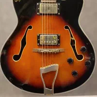 گیتار  هالوبادی کمیاب Stagg