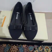 کفش|کیف، کفش، کمربند|سهند, |دیوار