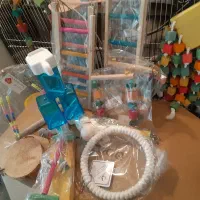 قفس پرنده واکسسوری|لوازم جانبی حیوانات|پردیس, فاز ۱|دیوار