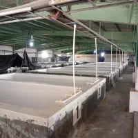 جذب نیرو کار|استخدام صنعتی، فنی، مهندسی|سیریک, |دیوار