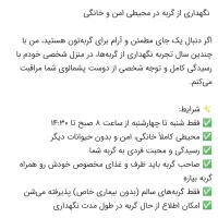واگذاری گربه|گربه|شیراز, منطقه هوایی شهید دوران|دیوار