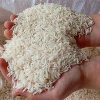 برنج درشت دانه و نیم دانه هاشمی