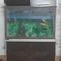 آکواریوم نو