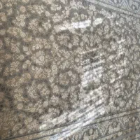 دو قطعه فرش ۱۲۰۰ شانه|فرش|بروجرد, |دیوار