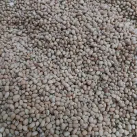 سالم و بهداشتی ،محلی پلویی