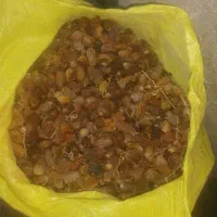 ضایعاتی خرماکنگاه