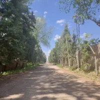 زمین-250متری-سهیلیه
