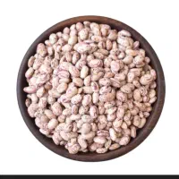 لوبیا چیتی تازه|خوردنی و آشامیدنی|قم, شهرک امام حسن|دیوار
