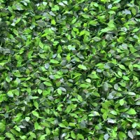 چمن مصنوعی. دیوار پوش برگ ریحون