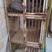 قفس آهنی فنس