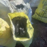 زغال کبابی و قلیونی|عمده‌فروشی|تاکستان, |دیوار