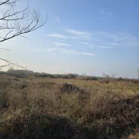 فروش-زمین-مزروعی-سنتی-13هزار-متری