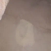 مبل  هفت نفره|مبلمان خانگی و میز عسلی|تهران, زمزم|دیوار