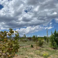 باغ ۳۰۰۰ متری دستجرد پشت دهکده صبا|فروش زمین و ملک کلنگی|خلجستان, |دیوار