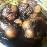 ترشی سیر بارب انار 4ساله دانه درشت کاملا بهداشتی|خوردنی و آشامیدنی|رامهرمز, |دیوار