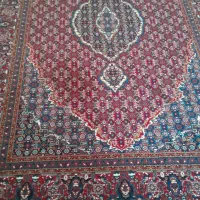 فرش ۶متری|فرش|کرمانشاه, |دیوار