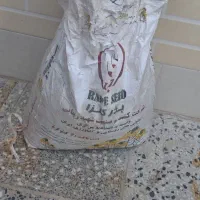 بذرکلزا|گل و گیاه طبیعی|دره شهر, |دیوار