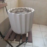 گلدان های سرامیکی در ابعاد مختلف با زیر گلدانی|گل و گیاه طبیعی|تهران, شیراز|دیوار