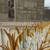 حفاظ نرده شاخ گوزنی رودیوار وسرنیزه|خدمات پیشه و مهارت|تهران, شهید رجایی|دیوار