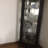 ویترین در حد نو هالوژن دار