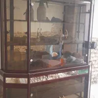 ویترین فلزی