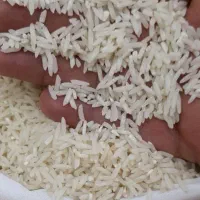 برنج ایرانی طارم هاشمی شیرودی معطر مطمئن|خوردنی و آشامیدنی|تبریز, |دیوار
