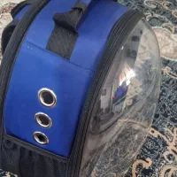 کیف عروس هلندی|کیف، کفش، کمربند|یاسوج, |دیوار