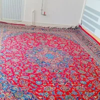 فرش دست باف وتمیز نو بدون پوسیدگی ورفتگی|فرش|آذرشهر, |دیوار
