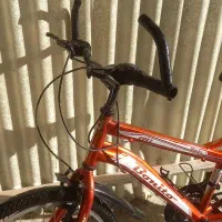 دوچرخه 20 بونیتو.(کوتاه،تنه)|دوچرخه، اسکیت، اسکوتر|بوئین زهرا, |دیوار