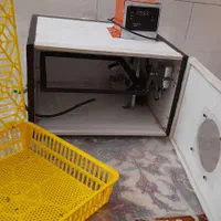 دستگاه جوجه کشی