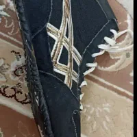 کفش کشتی|کیف، کفش، کمربند|محلات, |دیوار
