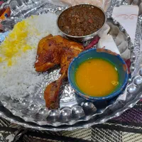 غذا سگ گربه