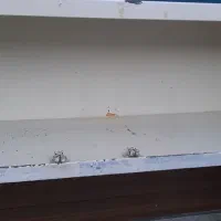 کابینت ورق سفید|آب‌چکان و نظم‌دهنده ظروف|ملایر, |دیوار