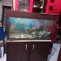 آکواریوم باکمد