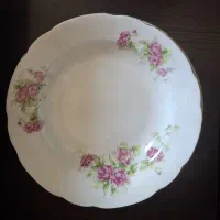 بشقاب گل سرخی|ظروف سرو و پذیرایی|اصفهان, باغ فدک|دیوار