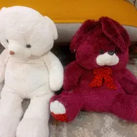 شاسخین   سایز بزرگ