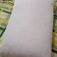 بالشت پر