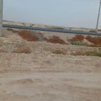 فروش-زمین