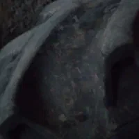 لاستیک جلو تراکتور ۳۹۹