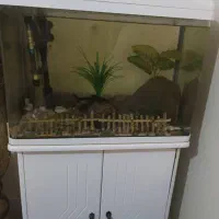 آکواریم زیبا با تمام وسایل