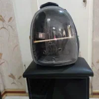کیف حمل پرنده