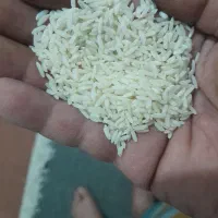 برنج محلی دورود بردجرد|خوردنی و آشامیدنی|بروجرد, |دیوار