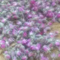 غنچه گل محمدی
