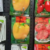 بذر وارداتی  دست اول و با کیفیت عمده وجزئی|گل و گیاه طبیعی|تهران, میدان ولیعصر|دیوار