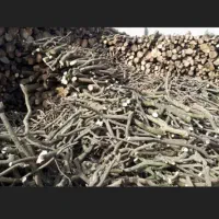 فروش چوب پرتقال. صنوبر. توسکا