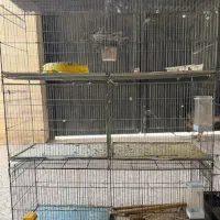 قفس|لوازم جانبی حیوانات|بوشهر, |دیوار